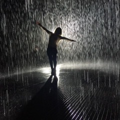 The Rain