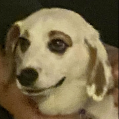 DJ B ROLL - SHIPWRECKED MIX