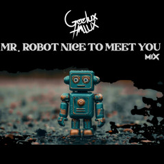 MR. Robot Nice To Meet You Mix