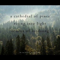 Pinesong [naviarhaiku345]