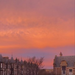 electric love // BØRNS (paravi das version)