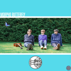 Morpho Butterfly