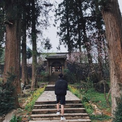 Bơ Sữa Vol 1 - Son1c