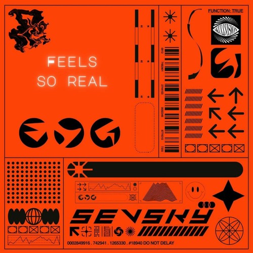 SEVSKY - Feels So Real