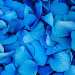 Ruin Of Romantics - Velvet Summer (Demo)