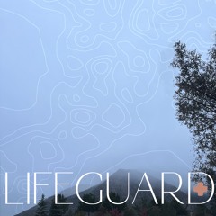 lifeguard ft. blackwinterwells (p. tores)