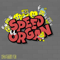 SPEED ORGAN - (MINIMIX BY ROYA B)