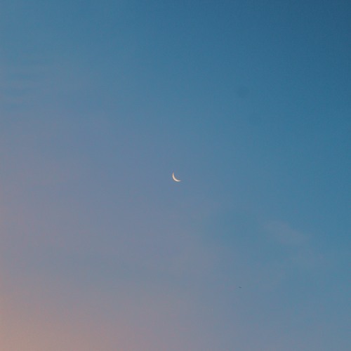 Jhove x farewell - lonely, without you