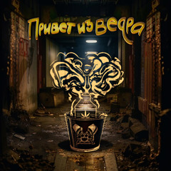 Привет из ведра