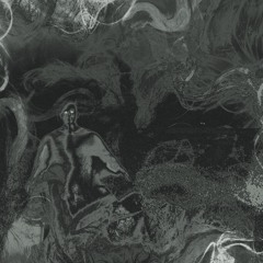 TAPETUM LUCIDUM