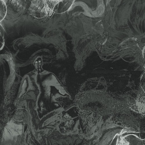 TAPETUM LUCIDUM