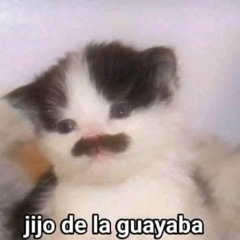 Podcast #9 ► [Accurate] ▬ Acrocentric