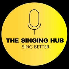 THE SINGING HUB - Joshua singing STRANGER BY ROADTRIP