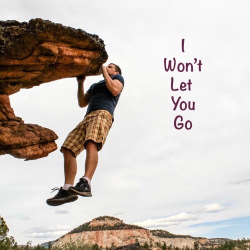 I Won't Let You Go