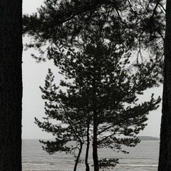 من عرفتك __ وأنـا كل وقتي سعيـــد