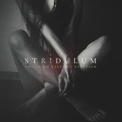 STRIDULUM - Home