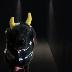 Did you Die…. 😈