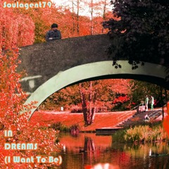 Soulagent79 - In Dreams (I Want To Be)
