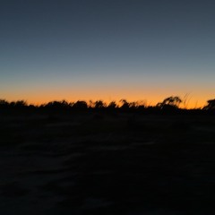 🌅🌅🌅