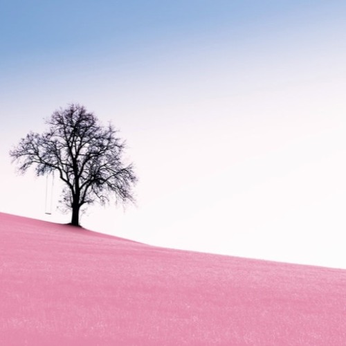 A Daydream