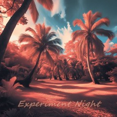 Experiment Night  / episodio#01 / Organic House