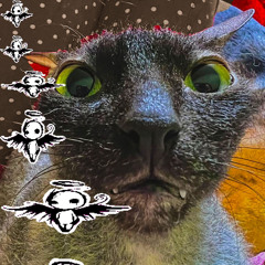 волшебный plugg freestyle 🧙‍♂️🔌prod.@saintracks