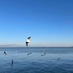 Special Happy Birthday - Ngthanh