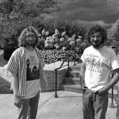 Make Sure My Grave's Kept Clean [Backrooms Demo]