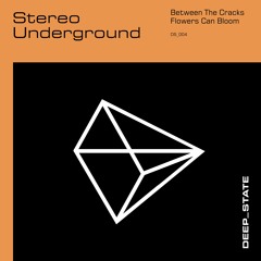 DS004 Stereo Underground - Between The Cracks