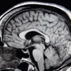 Butterflies ft. Martin Sullivan