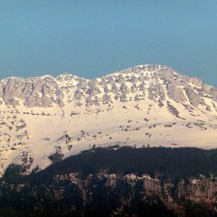 Miséricorde
