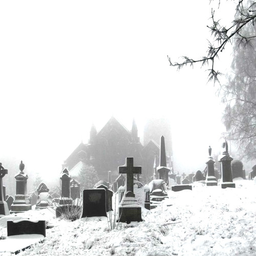 PERFORMATIVE OR GENUINE