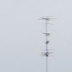 不可逆 (Difficult)