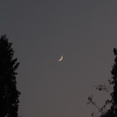 Pa-Khpal-Watan-Ke-Jnag-Ijaz-Ufaq-Pashto