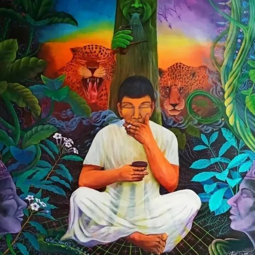#75⪮ Transcripts Of Amazonia No.1 // Ecstatic Dance