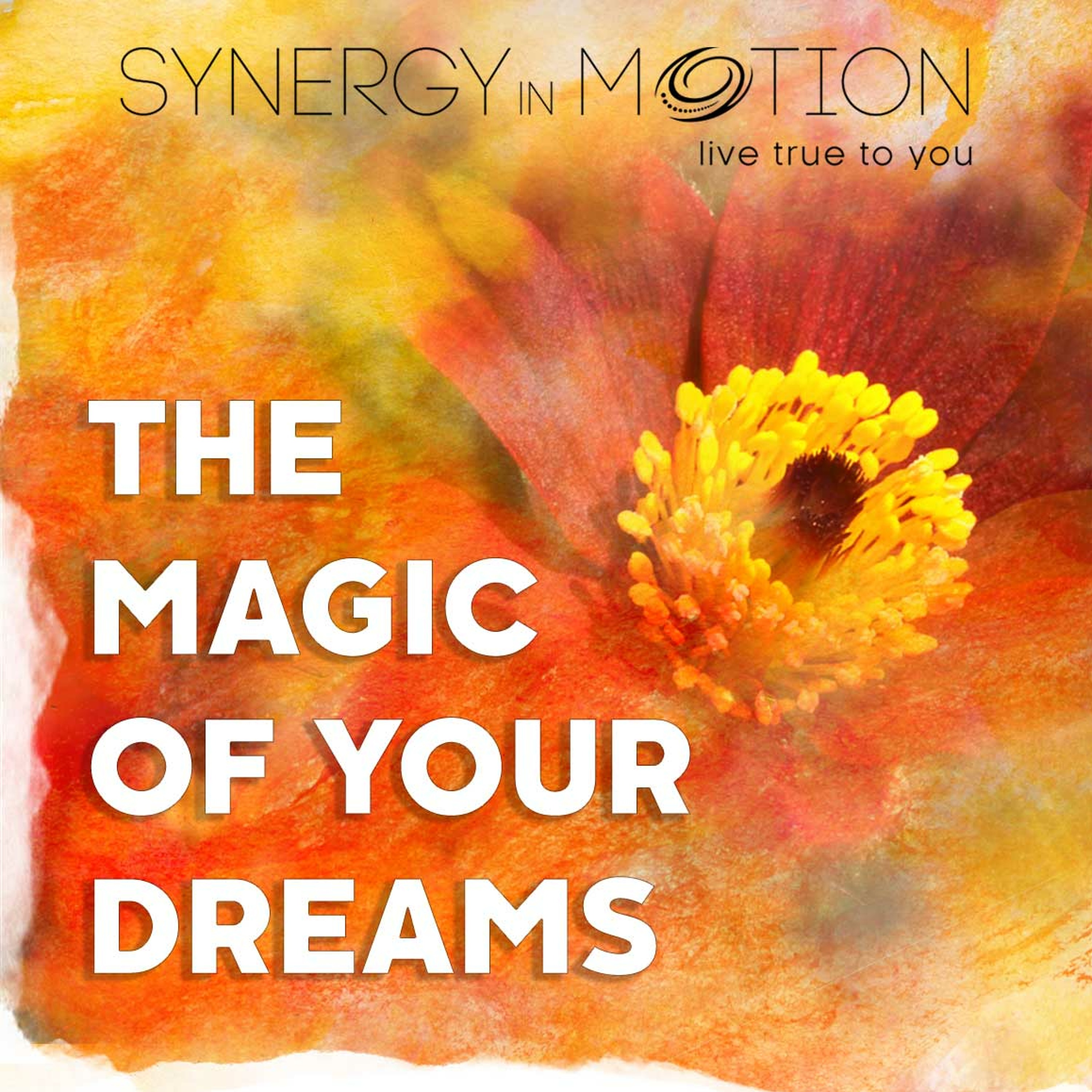 The Magic Of Your Dreams ~ Hexagram 26 episode artwork