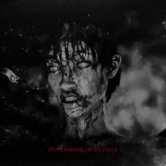 SCREAMING IN SILENCE (Prod. by VUIVOKOV)