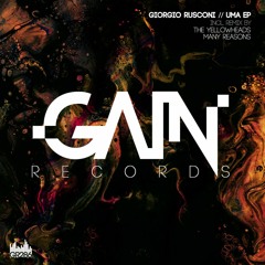 Premiere: Giorgio Rusconi - Twins [Gain Records]