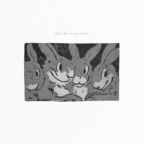 white rabbit