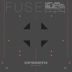 FUSE - CPSmith (Central Processing Unit)