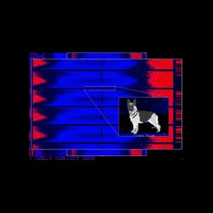 dokter doggo - doggocalypse [PLAY043]