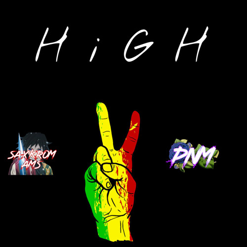 SaxkroM AmS x PNM - H i g h