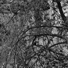 Холод р апатия(slowed.remix.by.dead)🥵🖤✖️