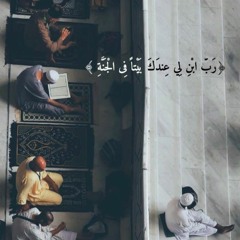 ابتهال محمد عبد القادر ابو سريع