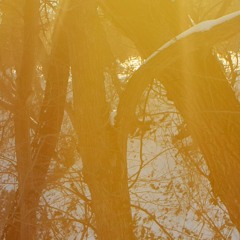 118 p18 Reset your circadian rhythm