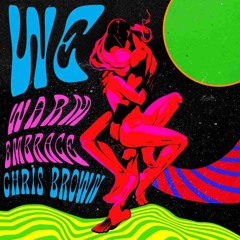 WE (Warm Embrace) Chris Brown.mp3