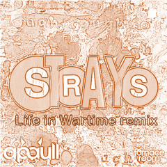 Strays (Life in Wartime remix)