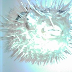 H20H Twisted Sub 2025