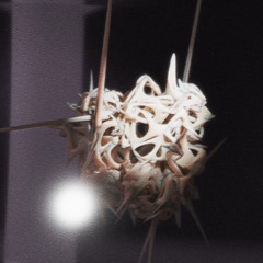 Premiere: I7HVN — Enger [Rites]