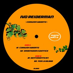 Ivo Reiderman -Sentimiento 811 DL005 (preview)